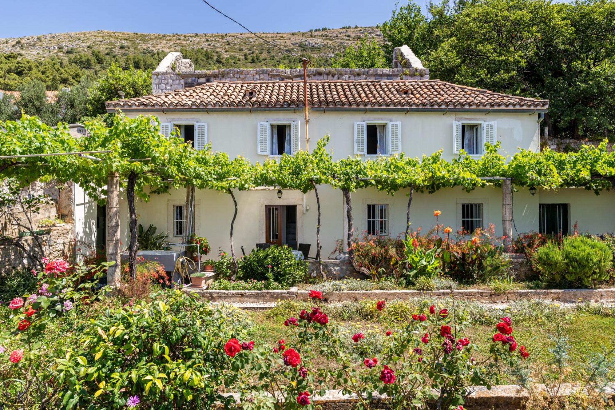 House Verde - Private House With Seaview Dubrovnik Exteriör bild