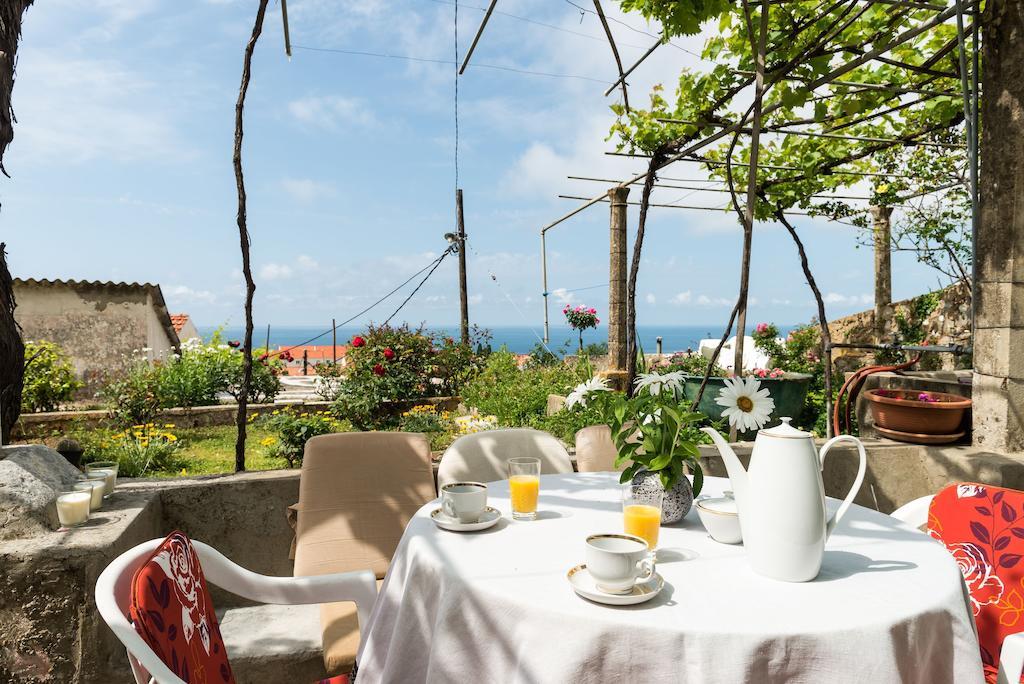 House Verde - Private House With Seaview Dubrovnik Rum bild